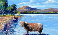Loch Lomond - Highland Cow